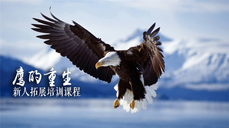如何判定一家拓展训练公司的好坏 拓展训练公司哪家好