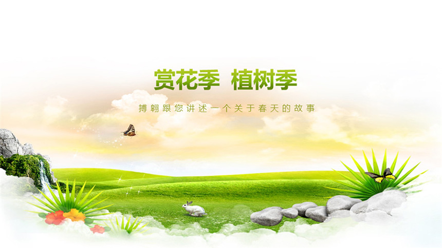 赏花季 植树季