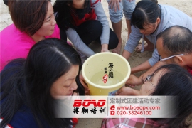 广州拓展团建让团队合作更密切